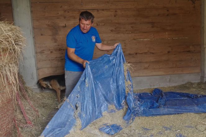 Andrzej z Plutycz z Rolnicy. Podlasie pożegnał się z marzeniami o kobiecie? Wszystko przez jeden czyn