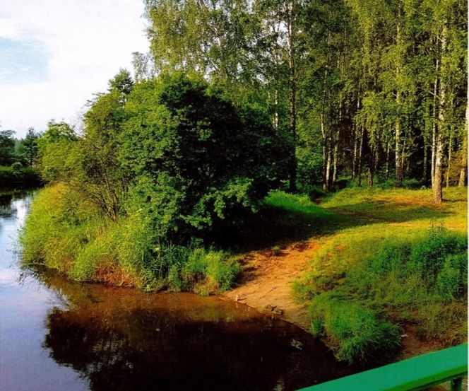 W Olsztynie powstanie nowa przystań kajakowa? Radny wskazał idealne miejsce do jej utworzenia [ZDJĘCIA]