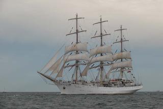 ParadaZagleGdyni2014_FotMZwierz_710442
