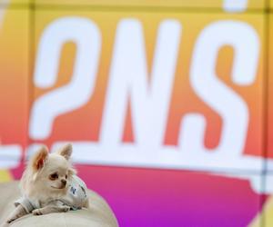 Co za zmiana w PnŚ! Do śniadaniówki dołączy znana aktorka 