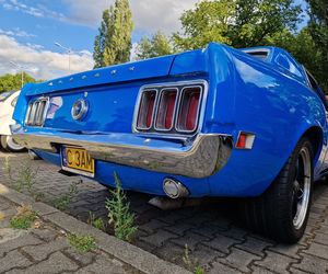 Zabytki pod chmurką. Bydgoskie Klasyki znów przyciągnęły tłumy pod Torbydem