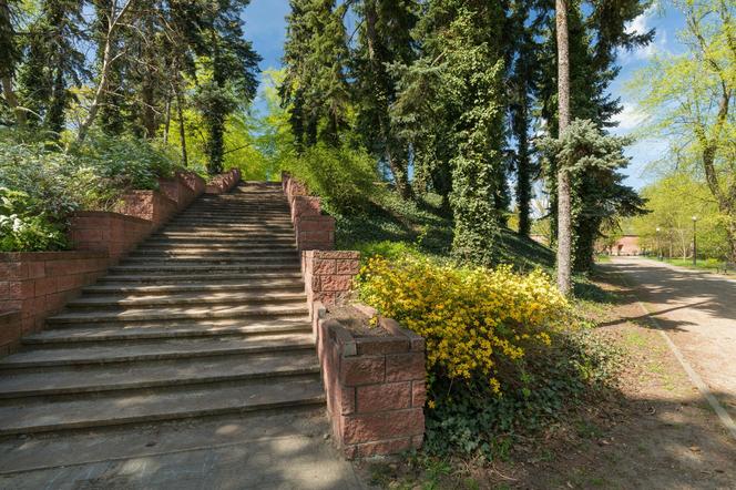 Park Stefana Żeromskiego w Warszawie 