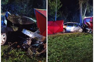 Śmiertelny wypadek na ul. Łęczyckiej w Elblągu. Auto roztrzaskało się na drzewie. Kierowca nie żyje [FOTO]