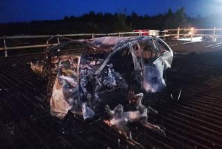 Spłonął w aucie z psem