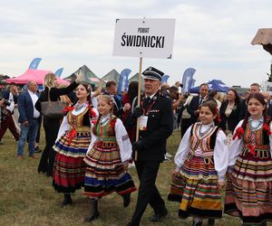 Korowód dożynkowy na dożynkach wojewódzkich 2025 w Świdniku