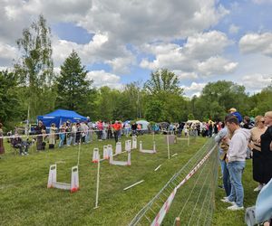 Festiwal Przyjaciół Zwierząt w Olsztynie. Park Centralny opanowały radosne pieski