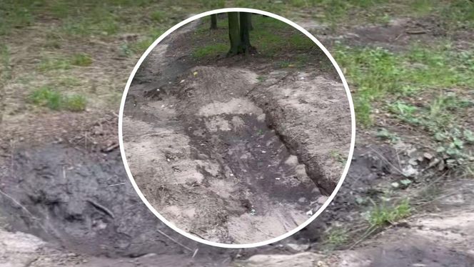 Urządzili sobie tor przeszkód w zabytkowym parku