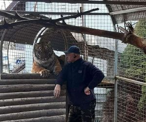 Mieszka z lwami odrzuconymi przez matkę i tygrysem. Usłyszał prokuratorskie zarzuty