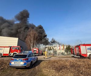 Ogromny pożar pod Zieloną Górą! Płonie hala firmy DBW. Jest pilny apel do mieszkańców