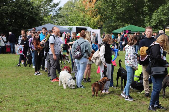 IX Piknik Przyjaciół Schroniska w Toruniu