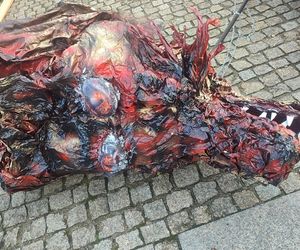 Wielka Parada Smoków w Krakowie