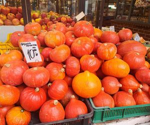 Ceny dyni 2025 na Nowym Kleparzu i Starym Kleparzu w Krakowie