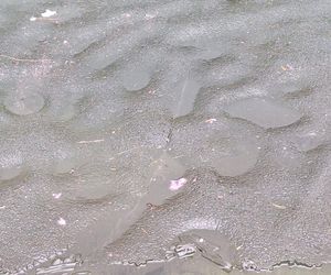 Morskie Oko zaśmiecone jak nigdy. To sprawka turystów. TPN opublikował zdjęcia.