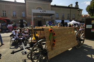 XII Kaliskie Miodobranie za nami 