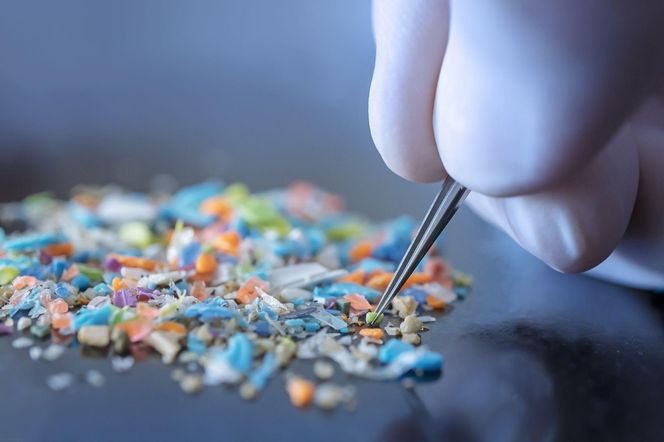 Odkryto kolejną przyczynę demencji? W mózgu znaleziono groźne mikrocząsteczki plastiku