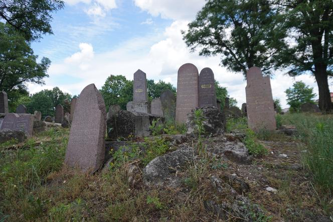 Zabytkowy cmentarz żydowski z XIX wieku w Białymstoku. Ostatnia taka ocalała nekropolia w mieście