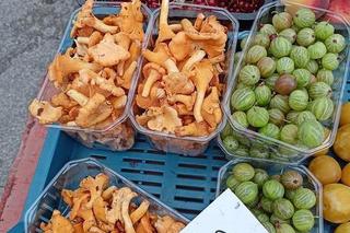 Ile kosztują kurki w Poznaniu?