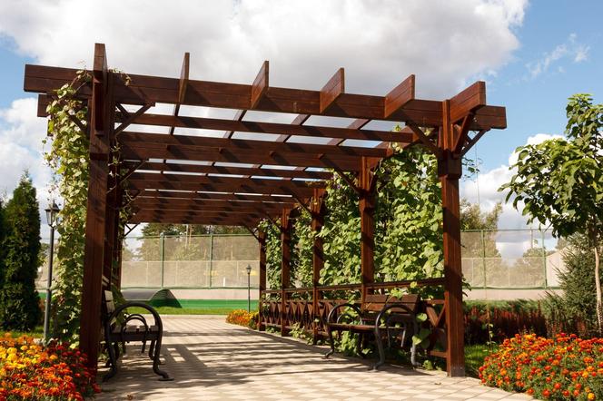 Pergola w ogrodzie