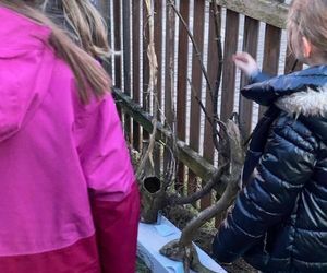 Muzeum Patyka w Toruniu