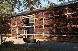 Nie musisz jechać do Ciechocinka. Ten uzdrowiskowy kurort leży tuż pod Warszawą