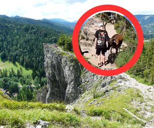 Jeleń na Nosalu zagrodził przejście dziecku i domagał się jego plecaka. Wyczuł jedzenie [WIDEO]