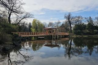 Ogród Japoński otwiera się dla zwiedzających. Na wiosenny spacerek jak znalazł 