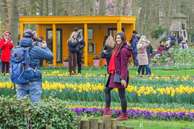 Ogród Keukenhof w Holandii