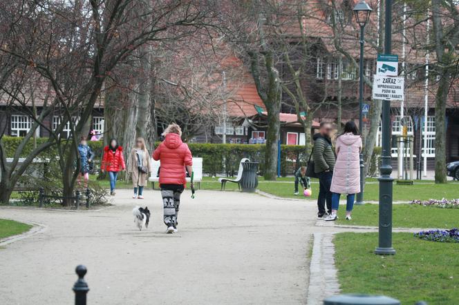 Szakira cierpliwie czekała na pancię