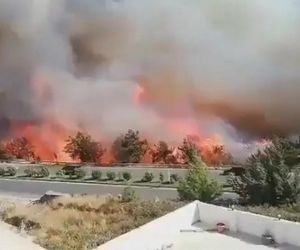 Fala upałów w Europie! Centra chłodzenia powstają w miastach