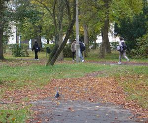 Park w Skarżysku-Kamiennej w opłakanym stanie! 