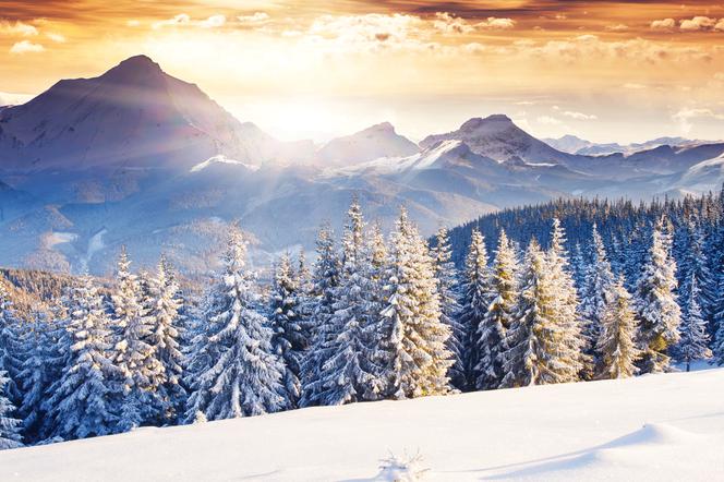 Zimą wybierz pociąg