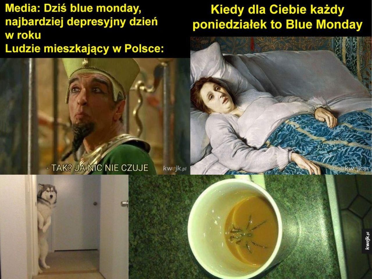 Blue Monday 2025 memy. Popraw sobie humor w Najbardziej Depresyjny