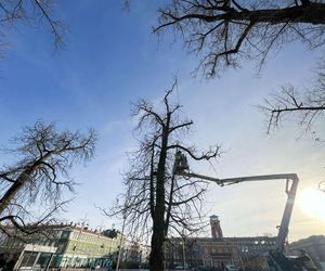 Świąteczne dekoracje, jarmark i miejski Sylwester. Częstochowa szykuje się na świętowanie