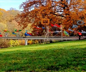 Renowacja Ognistych Ptaków dobiega końca