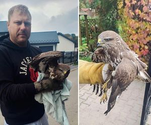 Nie przeszedł obojętnie. Policjant ze Śląska uratował rannego ptaka
