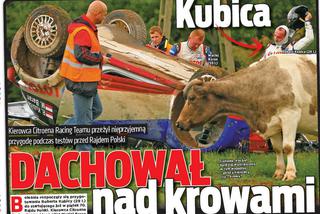 Robert Kubica dachował nad krowami - jest wideo!