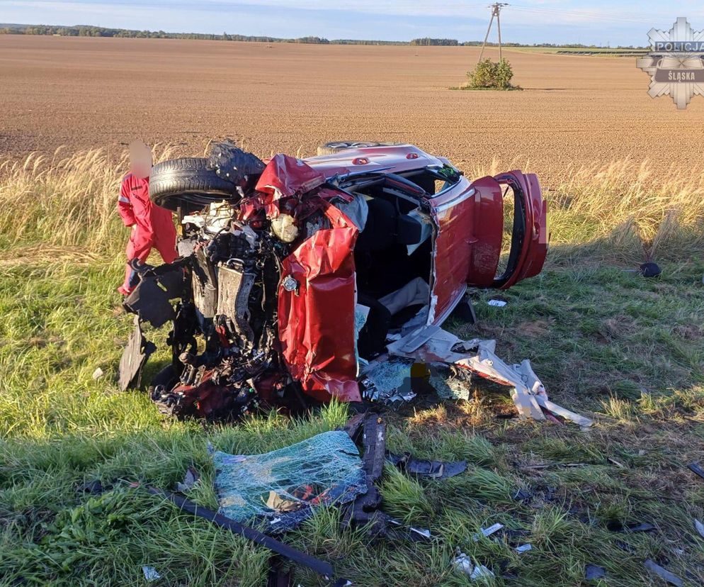 Wypadek śmiertelny pod Kłobuckiem