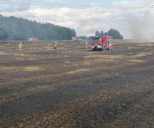 Pożar maszyny rolniczej, rżyska słomy i zboża - Lipowina gm. Braniewo