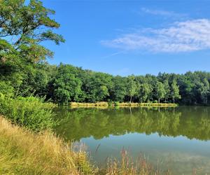 Kraków - Park Tetmajera