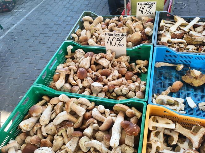 Grzyby na łódzkich targowiskach. Jest ich pełno! Zobacz, ile kosztują [ZDJĘCIA]