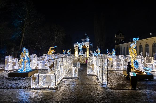 Królewski Ogród Światła - zobacz zdjęcia klimatycznych iluminacji w Warszawie