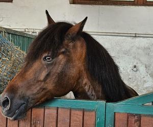 Światowy Dzień Fotografii. Z tych fotek są dumni nasi Czytelnicy! ZOBACZ