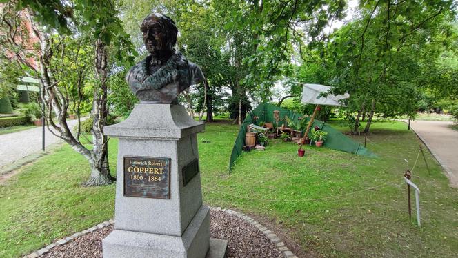 To jeden z najpiękniejszych ogrodów botanicznych w Polsce. Znajduje się na Dolnym Śląsku 