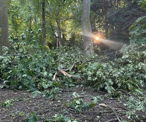 Łazienki Królewskie jednak zamknięte do odwołania