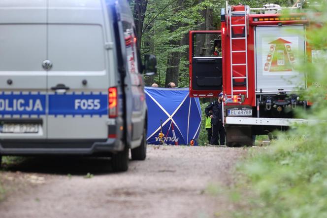 Kobieta przygnieciona przez drzewo 