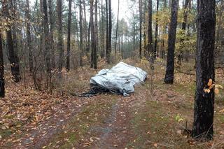 Ktoś zaśmieca gniewkowskie lasy. Ogromne worki ze śmieciami znalezione w pobliżu Godzięby