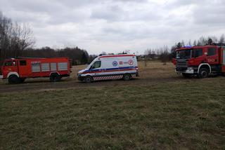 Mężczyzna przygnieciony przez drzewo