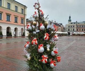  Zamojskie przedszkola i szkoły dekorowały choinki