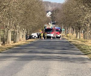 Śmiertelny wypadek pod Nysą. Cztery osoby zginęły po uderzeniu w drzewo [ZDJĘCIA]