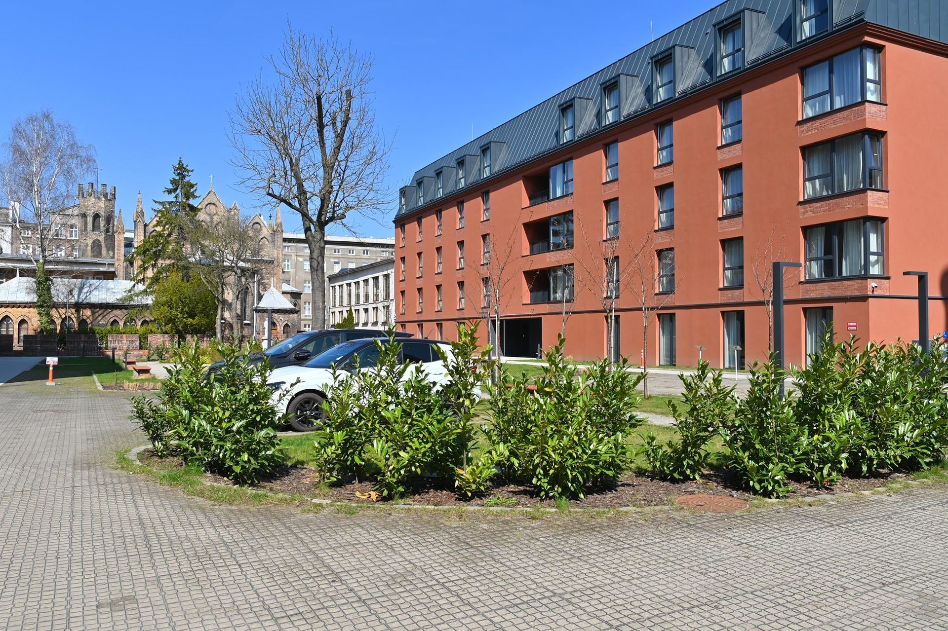 Rewitalizacja Dolnego Miasta i Starego Przedmieścia